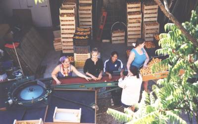 ~tournée des camps~*Sahune2003*(3eme année horizon)